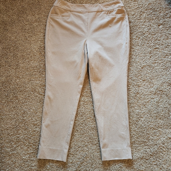 Soft Surroundings Supurla straight ankle pants Size Large Color khaki - Picture 3 of 11